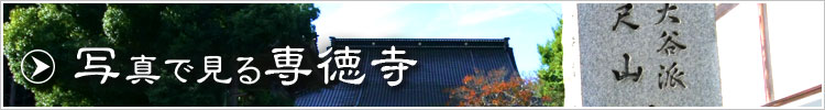 写真で見る専徳寺
